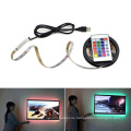 USB LED DC5V SMD3528 RGB LED Flexible LED 3 Tasten Mini Fernbedienung 50 CM 1 Mt 2 Mt 3 Mt 4 Mt 5 Mt TV Hintergrundbeleuchtung